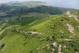 马丁内利受伤由队医搀扶离场，热苏斯替补登场